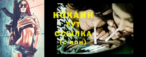 альфа пвп Краснослободск