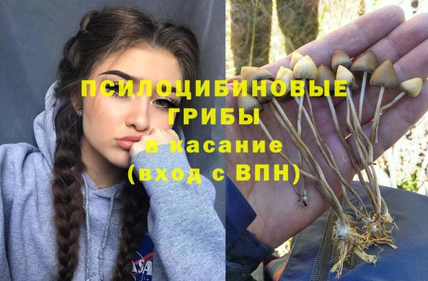винт Кукмор